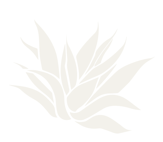 Imagen de textura de flor transparente