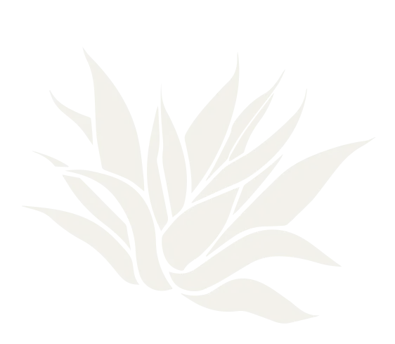 Transparent Flower texture picture