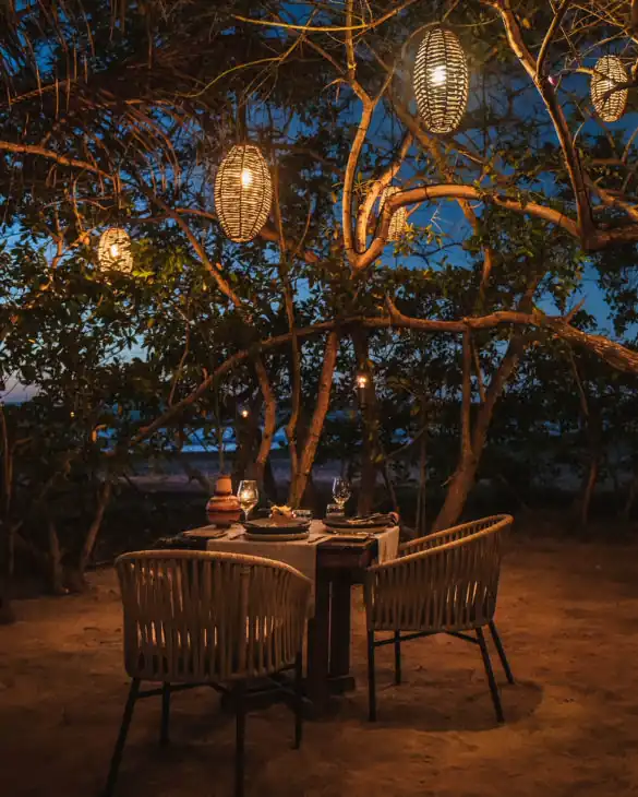 Outdoor table and chair with tree lighting