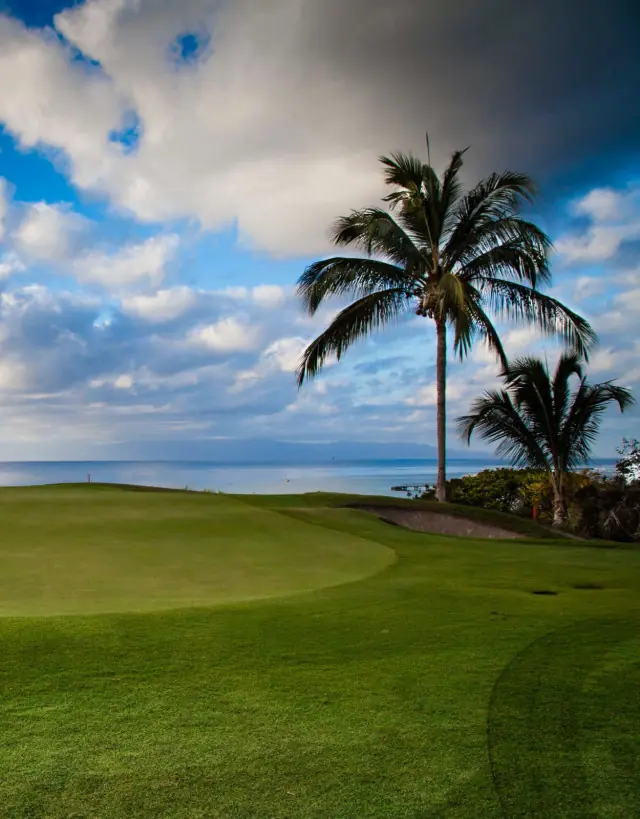 golf en mexico