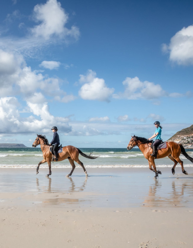 Two Horse with horse rider riding across the beach