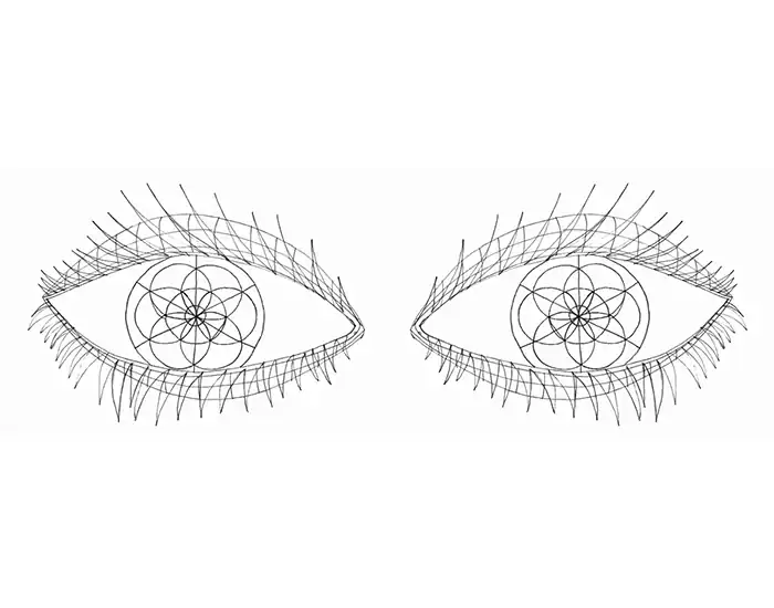 Dibujo de dos ojos, con círculos.