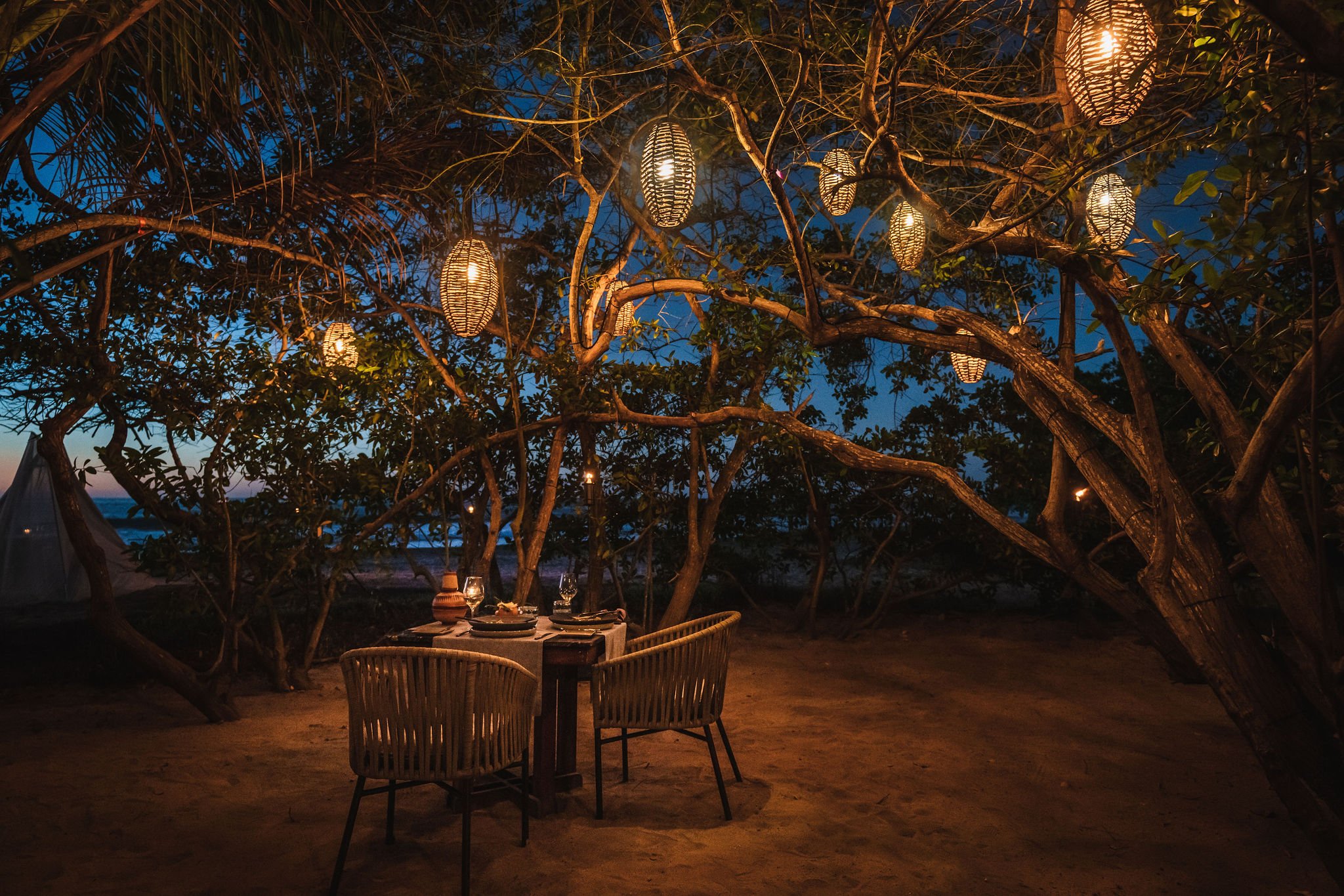 Alfresco dining setup, a well-arranged table beneath tree branches adorned with hanging lamps.