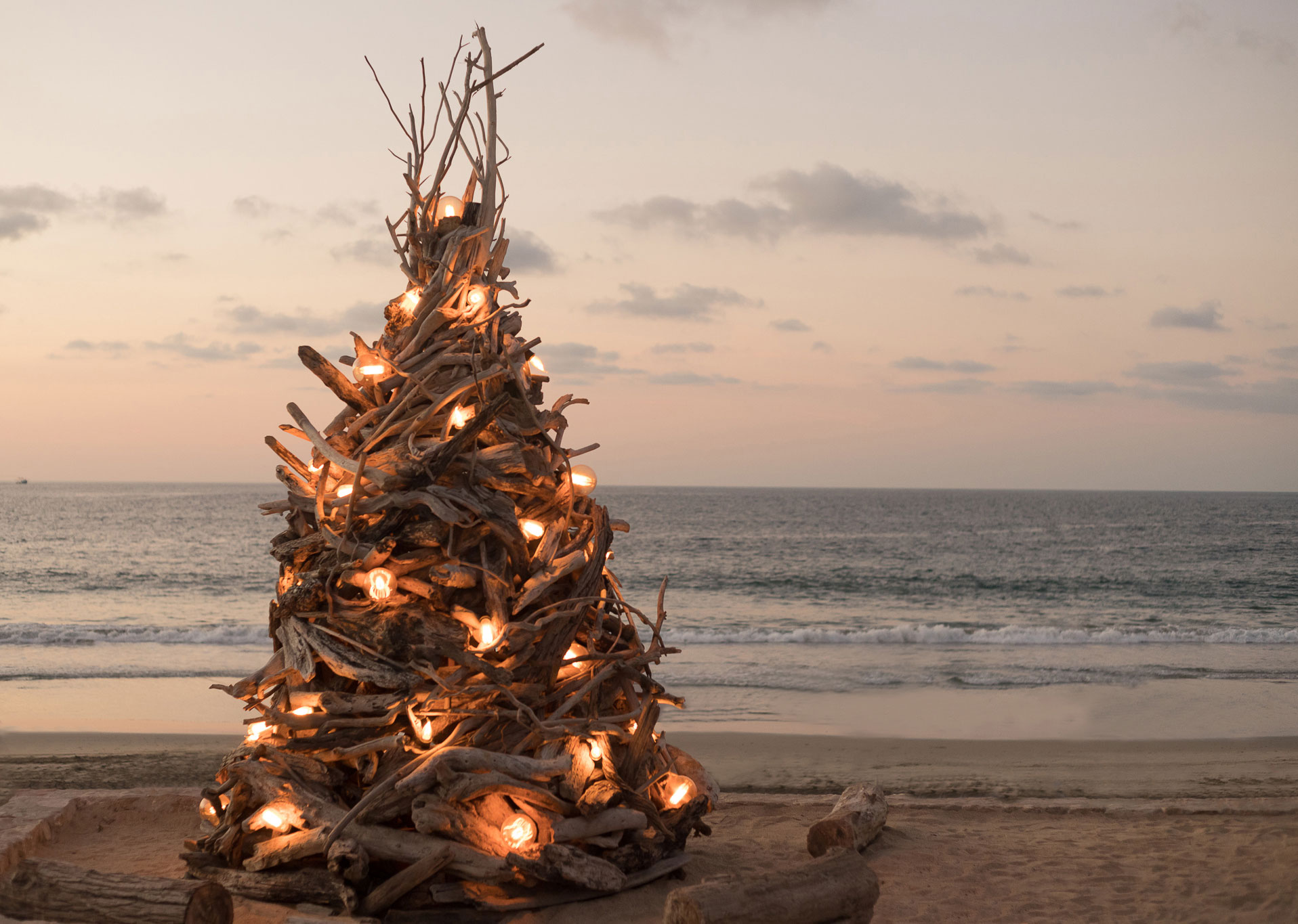 Promoción de arboles de navidad