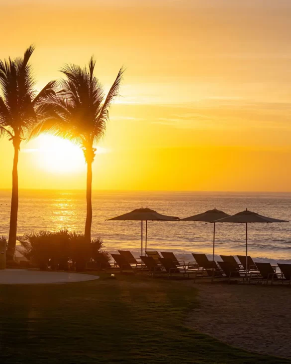 Playa con vistas al atardecer, palmeras, tumbonas y sombrillas, con vistas a un océano tranquilo y un cielo dorado.