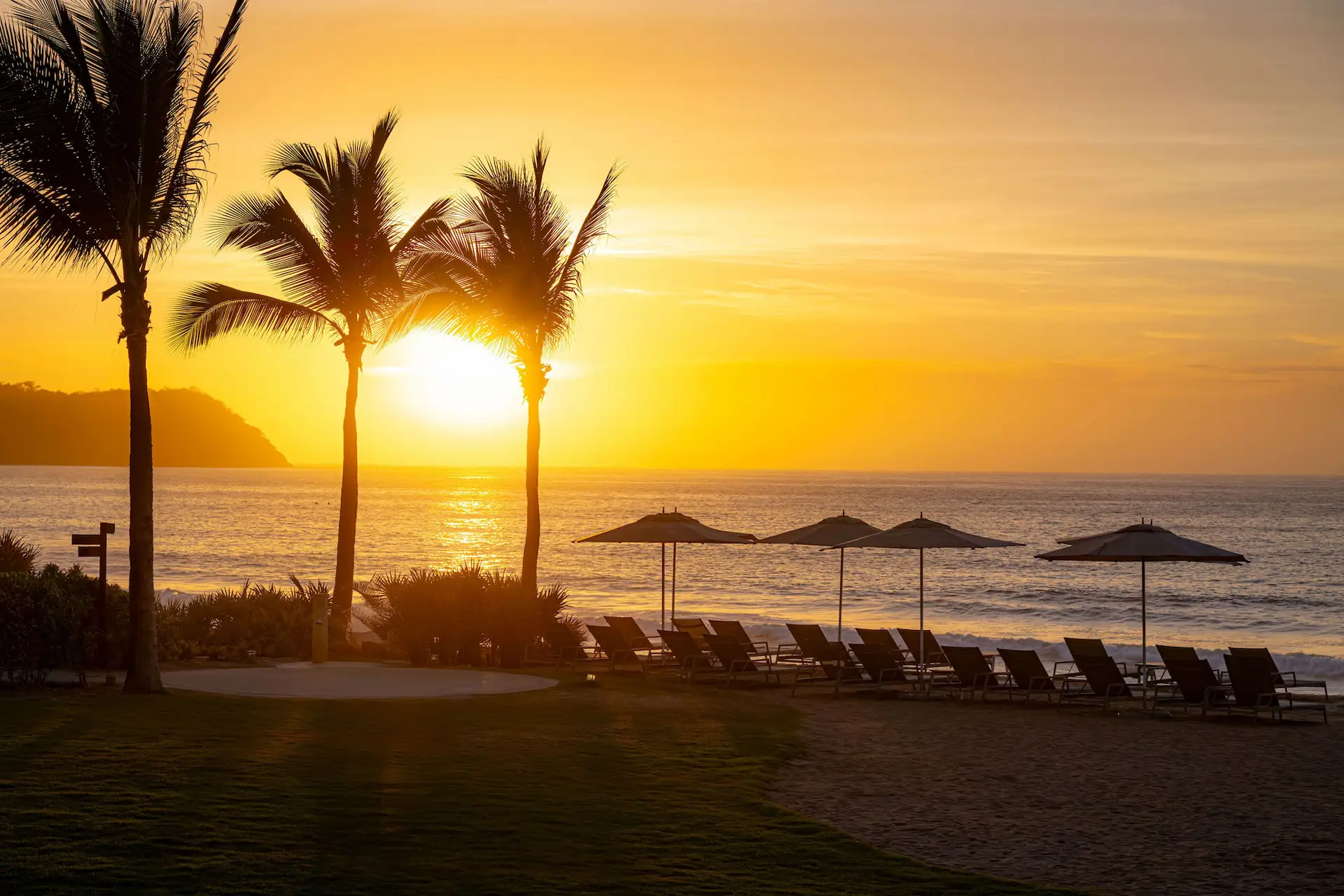Sunset beach with palm trees, lounge chairs, and umbrellas overlooking calm ocean and golden sky.