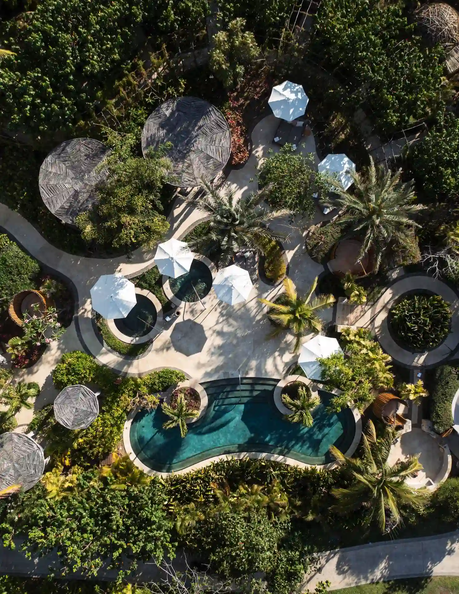 Vista aérea de la piscina con curvas rodeada de palmeras, sombrillas blancas, pasarelas y exuberante vegetación.