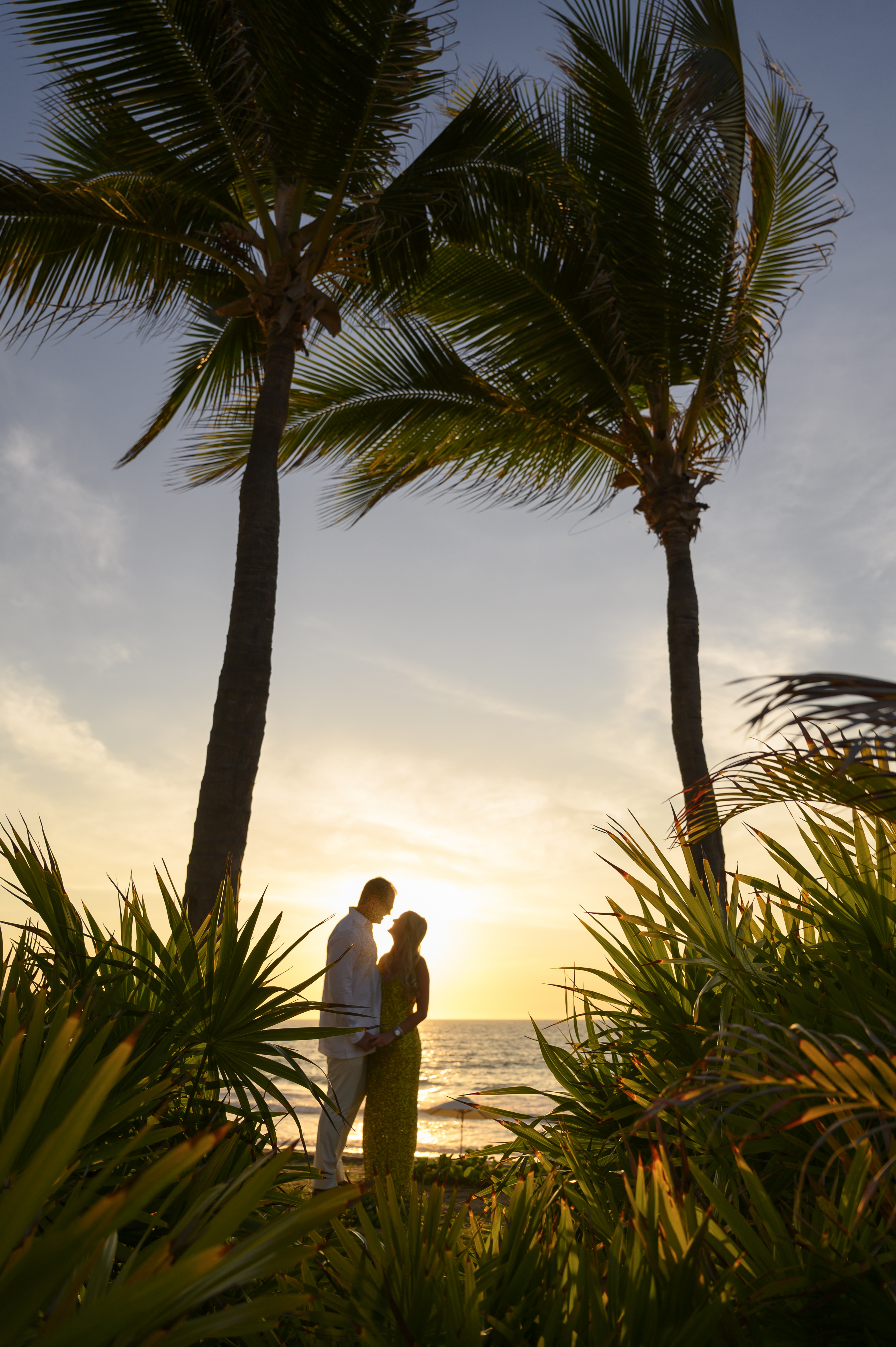 Couple embracing between palm trees at sunset, surrounded by tropical foliage beside the ocean.